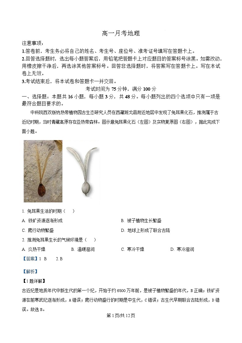 湖南省涟源市部分高中联考2024-2025学年高一下学期3月月考地理试题 Word版含解析第1页