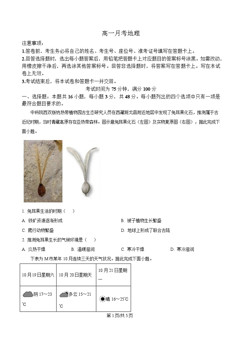 湖南省涟源市部分高中联考2024-2025学年高一下学期3月月考地理试题（原卷版）第1页