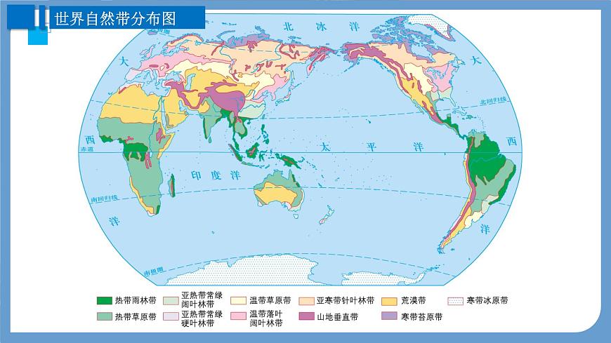 高三自然地理 一轮 地带性和地方性分异规律 课件第4页