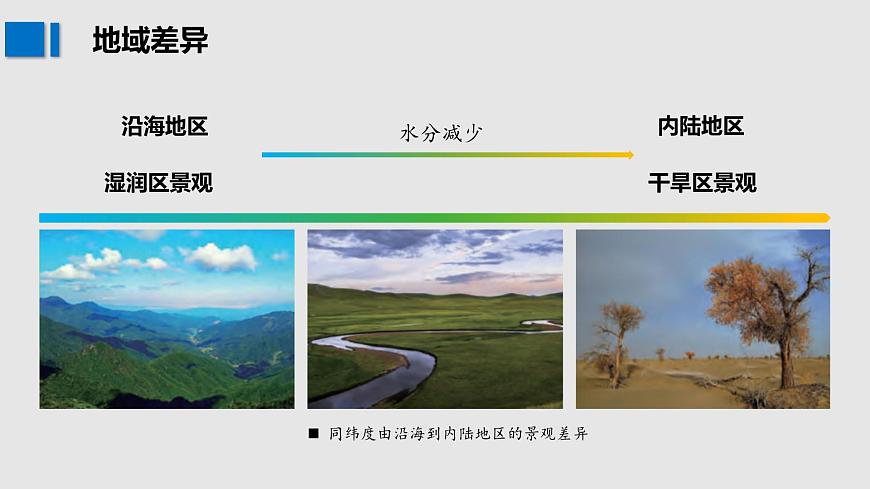 高三自然地理 一轮 地带性和地方性分异规律 课件第6页