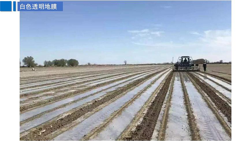 高三自然地理 一轮 大气的受热过程补充课 ——地表覆盖 课件第3页