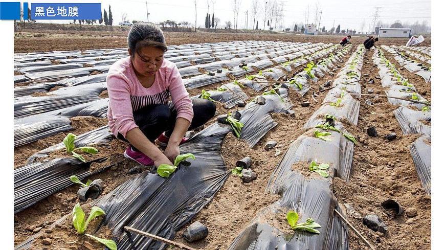 高三自然地理 一轮 大气的受热过程补充课 ——地表覆盖 课件第4页