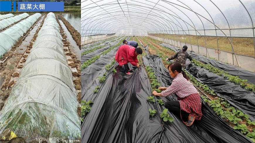 高三自然地理 一轮 大气的受热过程补充课 ——地表覆盖 课件第5页