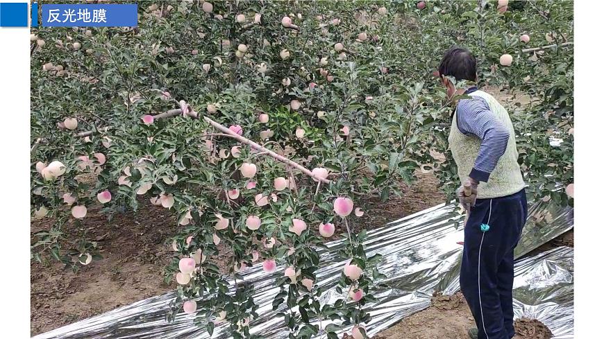 高三自然地理 一轮 大气的受热过程补充课 ——地表覆盖 课件第7页