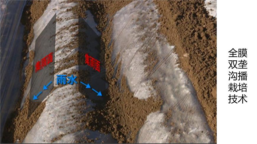 高三自然地理 一轮 大气的受热过程补充课 ——地表覆盖 课件第8页