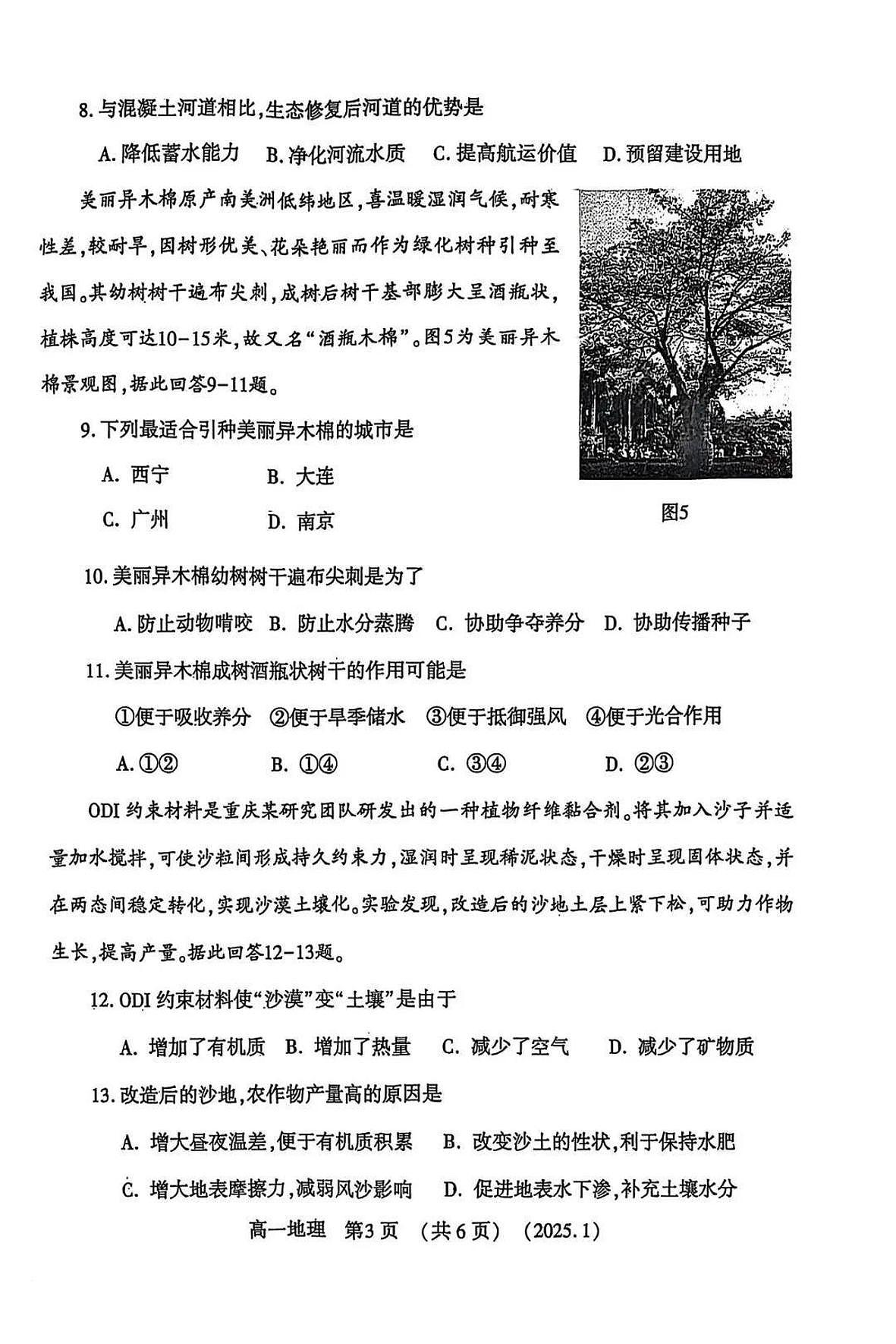 河南省洛阳市2024-2025学年高一上学期期末 地理试卷（含答案）第3页