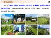 高中地理人教版2025選擇性必修一問題探究五 如何看待我國西北地區(qū)城市引進歐洲冷季型草坪 課件