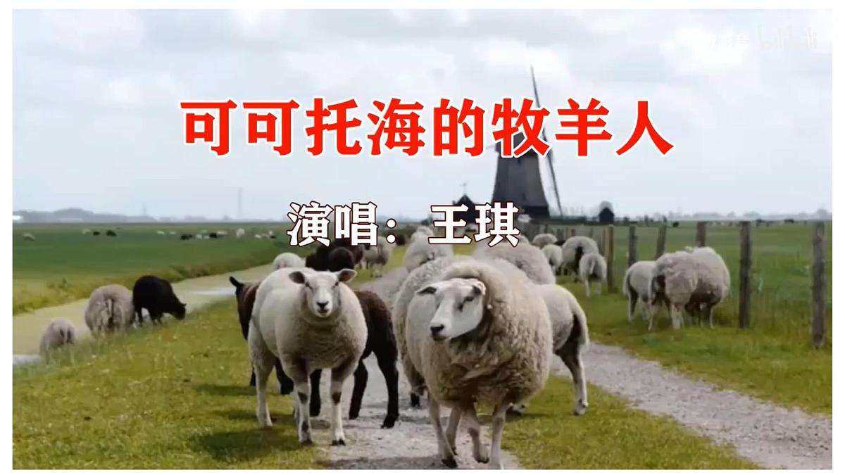 高中地理人教版2025选择性必修一自然环境的地域差异性 课件第2页