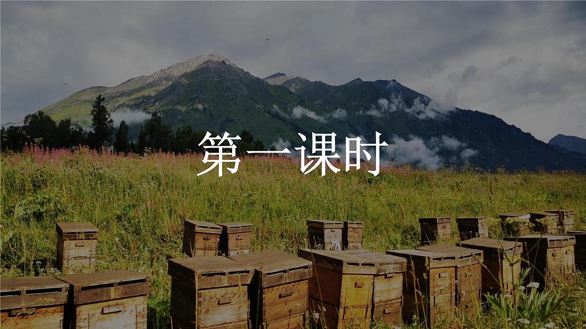 高中地理人教版2025选择性必修一自然环境的地域差异性 课件第5页