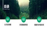 2.3生物圈與植被課件 高中地理魯教版必修一