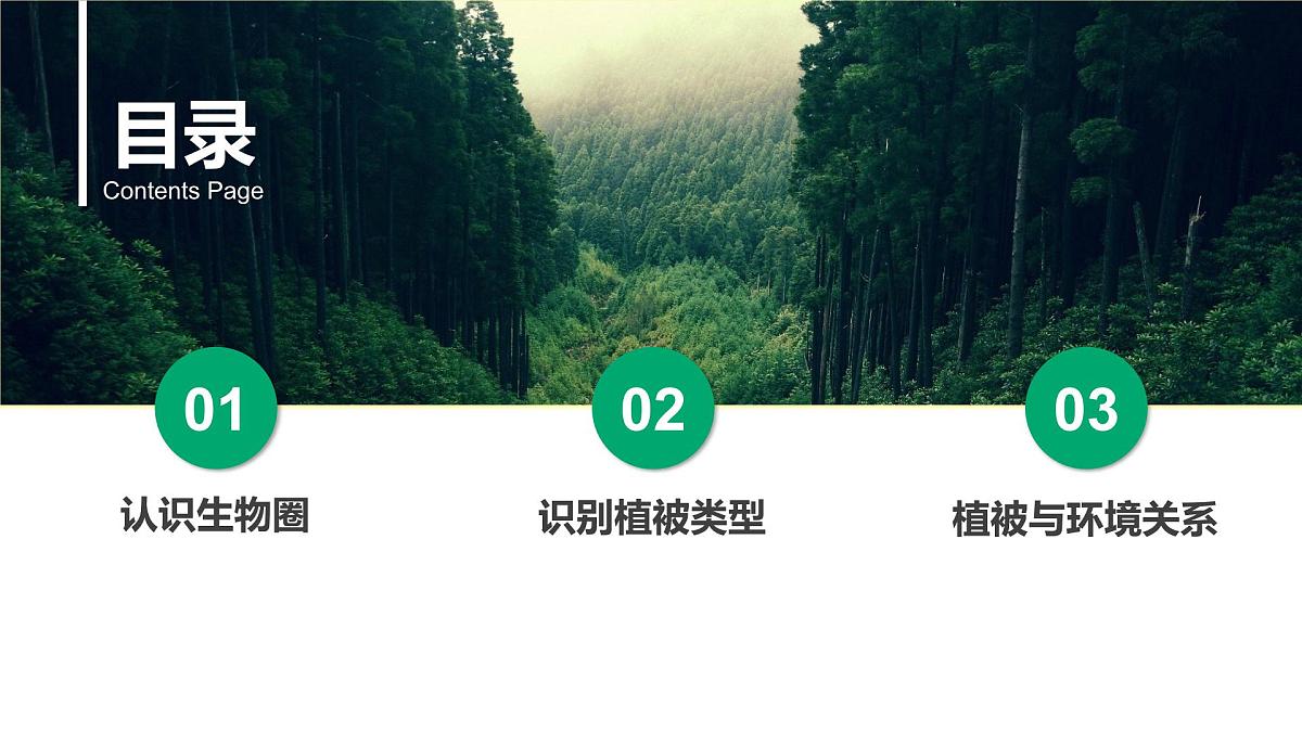 2.3生物圈与植被课件 高中地理鲁教版必修一第3页