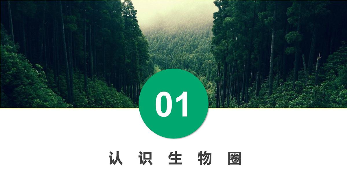 2.3生物圈与植被课件 高中地理鲁教版必修一第4页