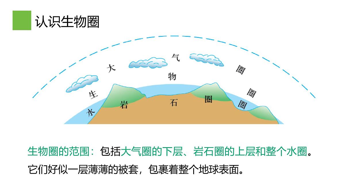 2.3生物圈与植被课件 高中地理鲁教版必修一第5页