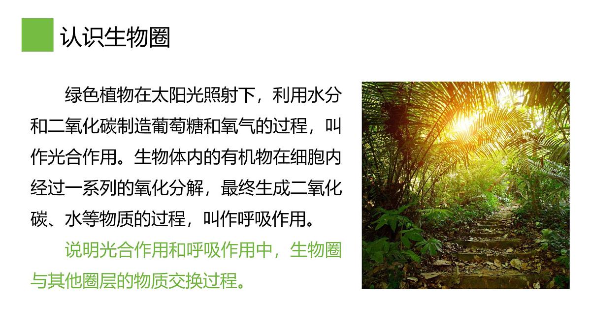 2.3生物圈与植被课件 高中地理鲁教版必修一第6页