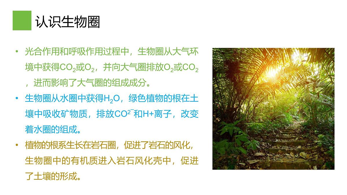 2.3生物圈与植被课件 高中地理鲁教版必修一第7页