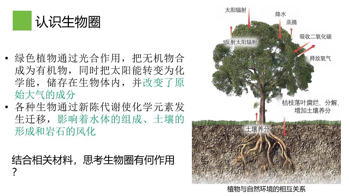2.3生物圈与植被课件 高中地理鲁教版必修一第8页