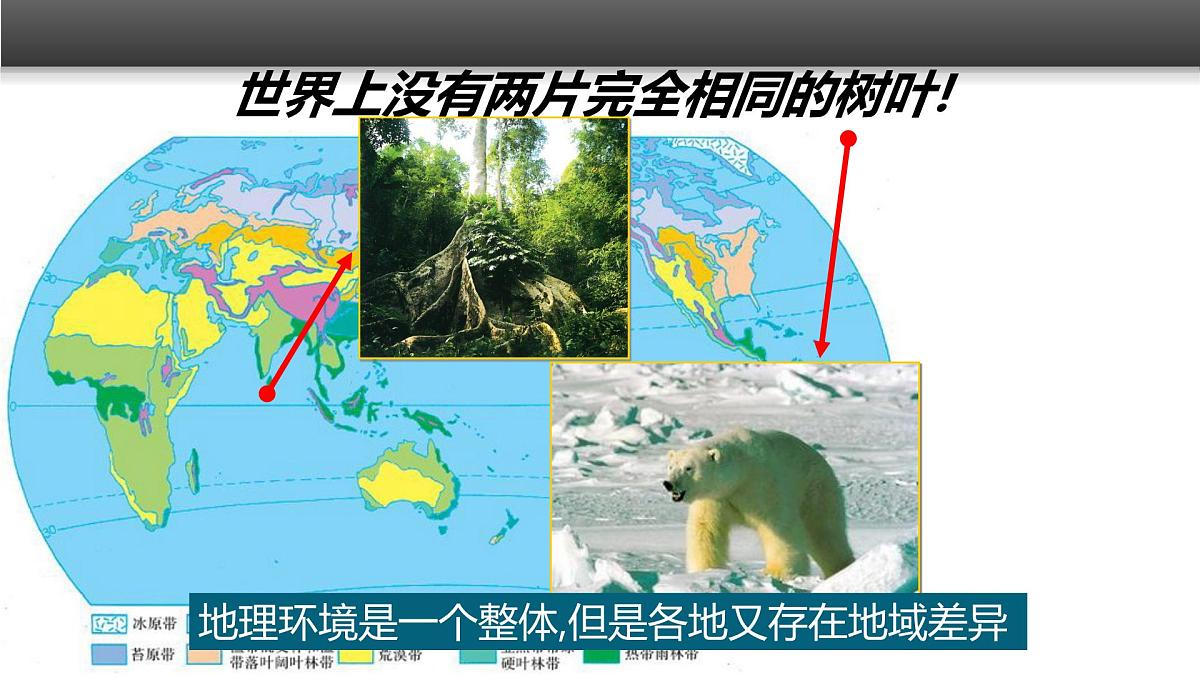 人教版 (新课标)高中地理必修1 5-2《自然地理环境的差异性》课件（第1课时）第2页