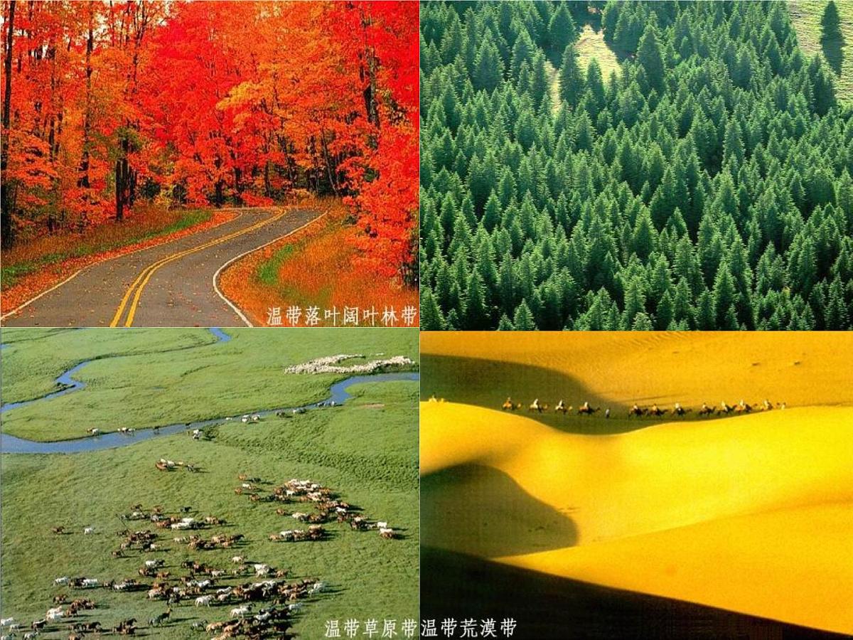 人教版 (新课标)高中地理必修1 5-2《自然地理环境的差异性》知识梳理课件第1页