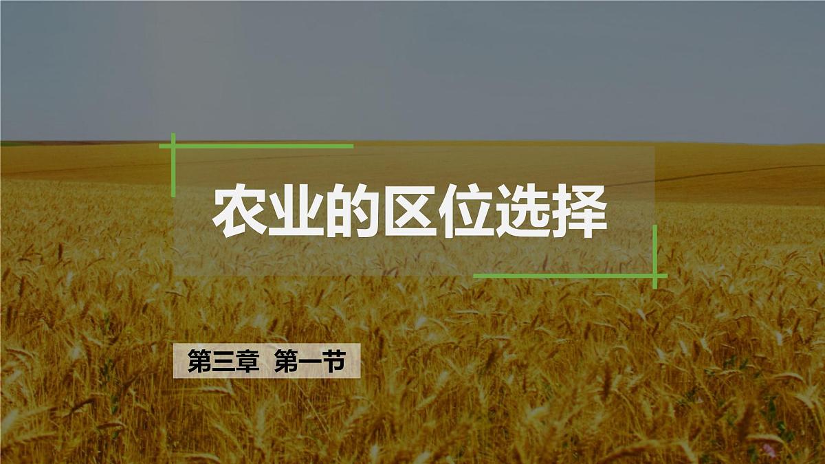 人教版 (新课标)高中地理必修2 3-1《农业的区位选择》课件第6页