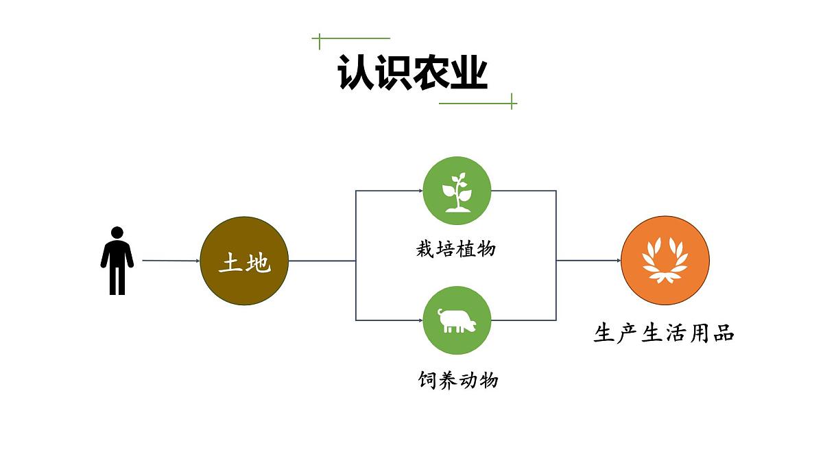 人教版 (新课标)高中地理必修2 3-1《农业的区位选择》课件第8页