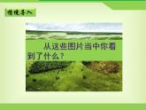人教版 (新课标)高中地理必修3 2-2《森林的开发和保护——以亚马孙热带雨林为例》课件（第2课时）