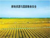 《耕地資源與國家糧食安全》課件 湘教版高中地理選擇性必修3