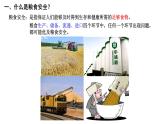 《耕地資源與國家糧食安全》課件 湘教版高中地理選擇性必修3