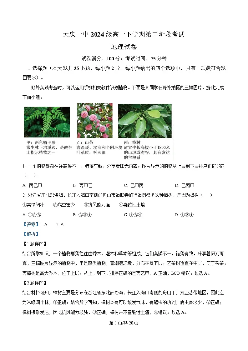 黑龙江省大庆第一中学2024-2025学年高一下学期第二阶段考试地理试卷 Word版含解析第1页
