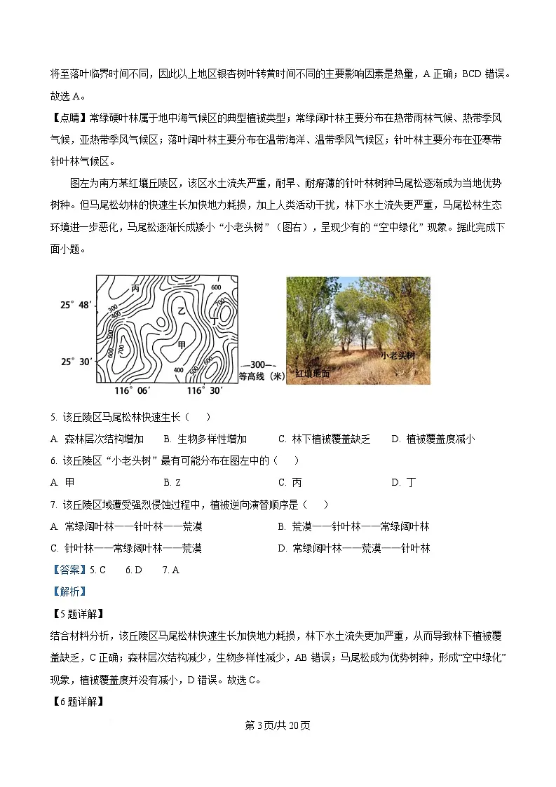 黑龙江省大庆第一中学2024-2025学年高一下学期第二阶段考试地理试卷 Word版含解析第3页
