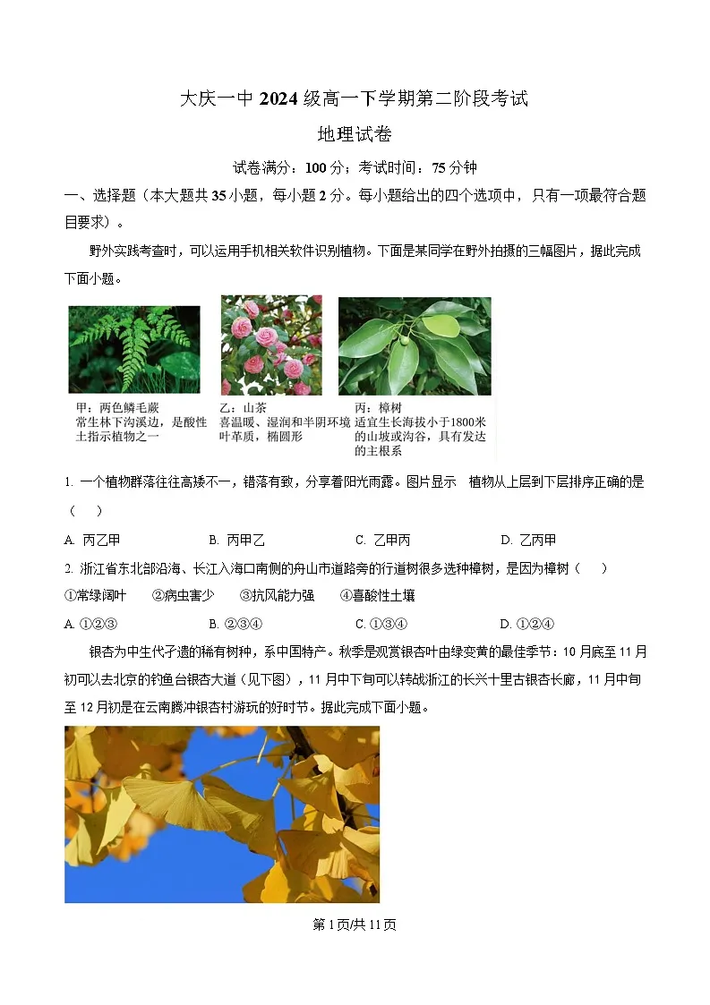 黑龙江省大庆第一中学2024-2025学年高一下学期第二阶段考试地理试卷（原卷版）第1页
