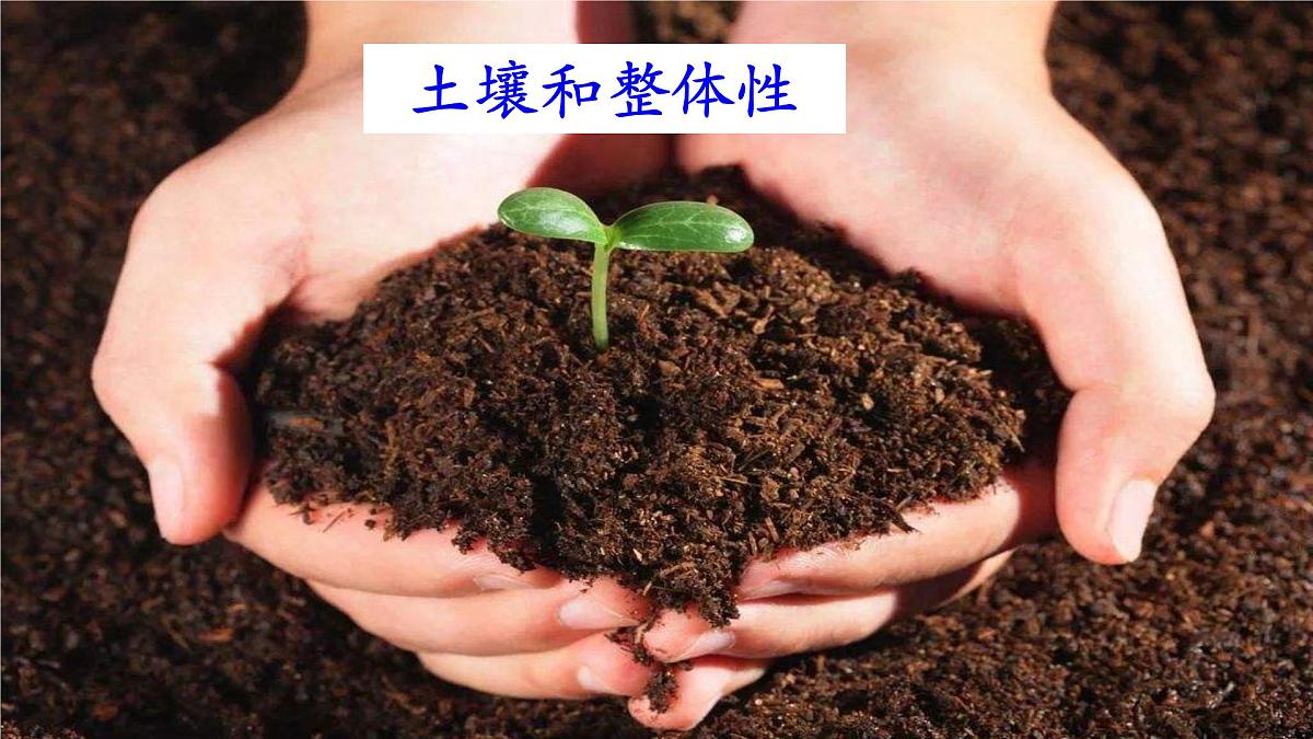 高考地理一轮复习课件：土壤和整体性第1页