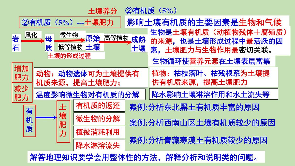 高考地理一轮复习课件：土壤和整体性第8页