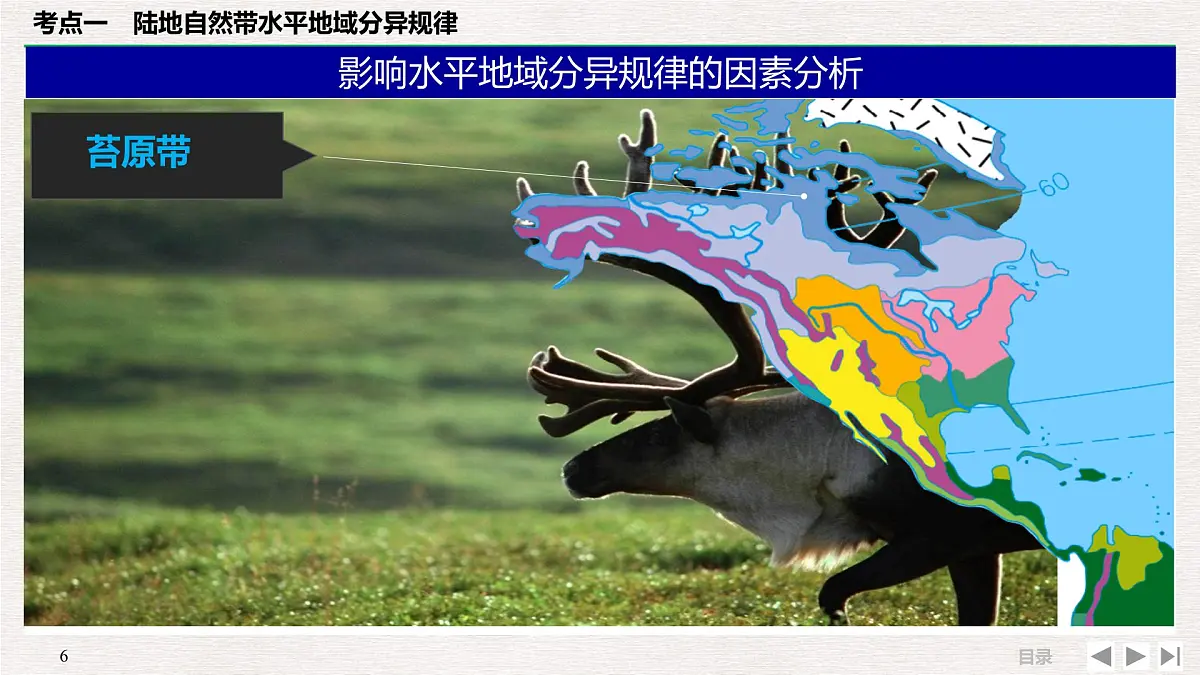 人教版 (新课标)高中地理必修1 5-2自然地理环境差异性 课件第6页