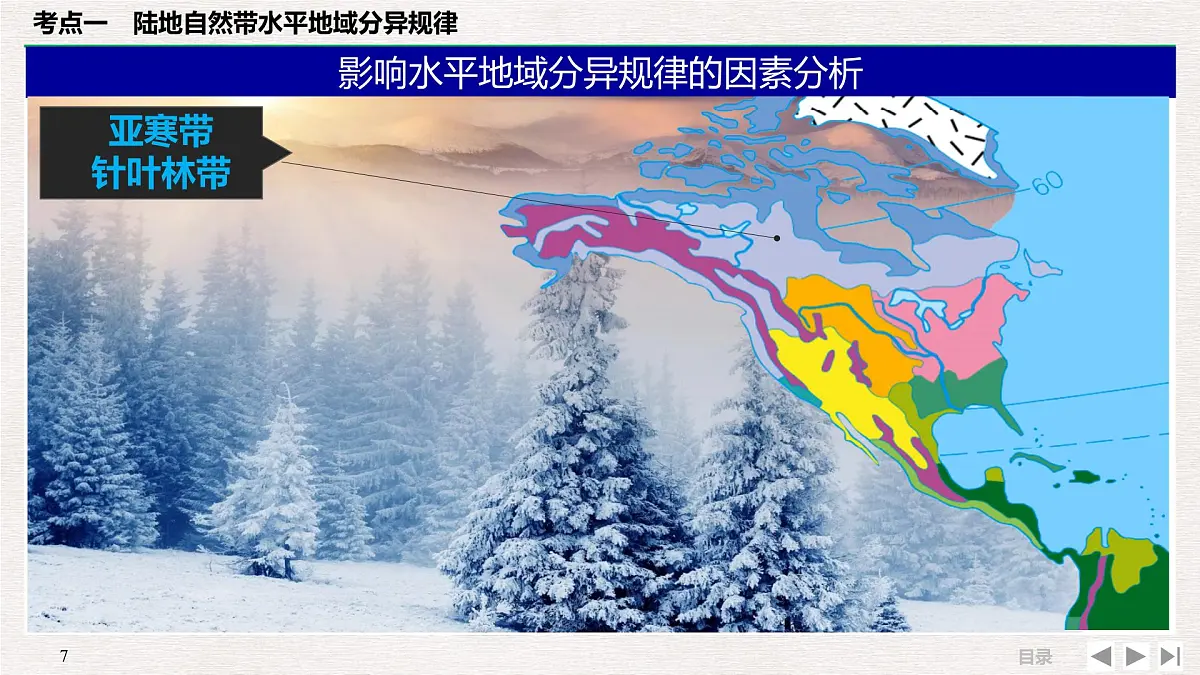 人教版 (新课标)高中地理必修1 5-2自然地理环境差异性 课件第7页