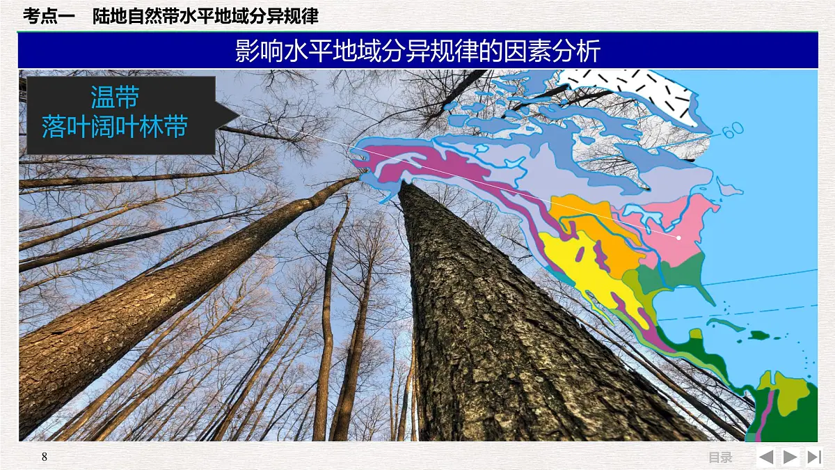 人教版 (新课标)高中地理必修1 5-2自然地理环境差异性 课件第8页