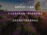 人教版高中地理 選擇性必修1 5-1《自然地理環(huán)境的整體性》課件