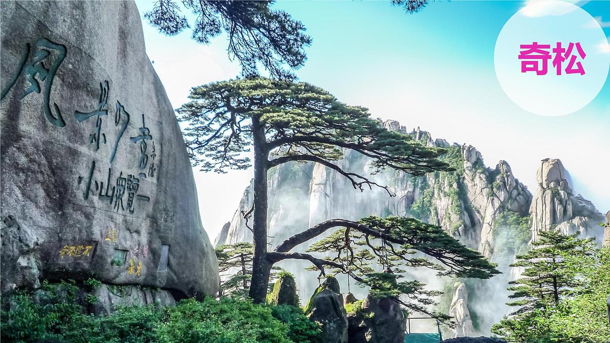 人教版高中地理 选择性必修1 5-1《自然地理环境的整体性》课件第3页