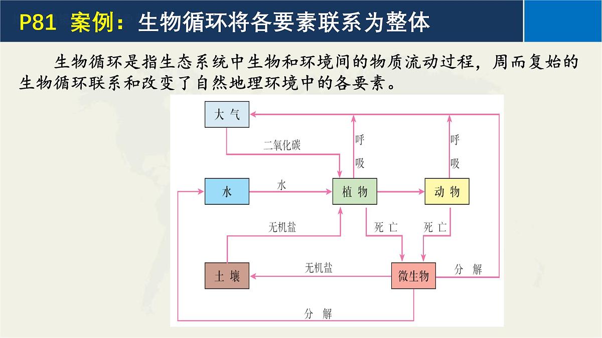 人教版高中地理 选择性必修1 5-1自然地理环境的整体性-课件第8页