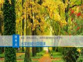 人教版高中地理選擇性必修1 5-2復(fù)習課件-水平地域分異規(guī)律