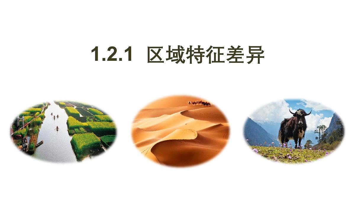 1.2.1《区域差异比较》课件 湘教版高中地理选择性必修二第2页