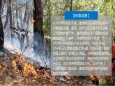 人教版高中地理選擇性必修1 5-2復(fù)習課件-山火