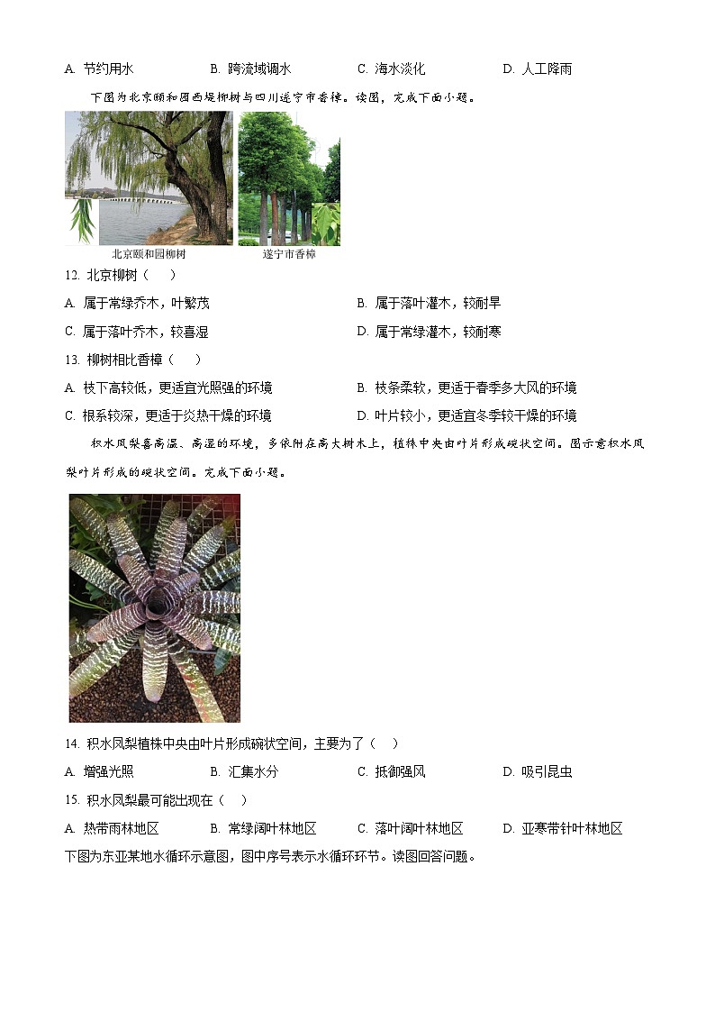 云南省玉溪市玉溪师范学院附属中学2024-2025学年高一下学期3月月考地理试卷（原卷版+解析版）第3页