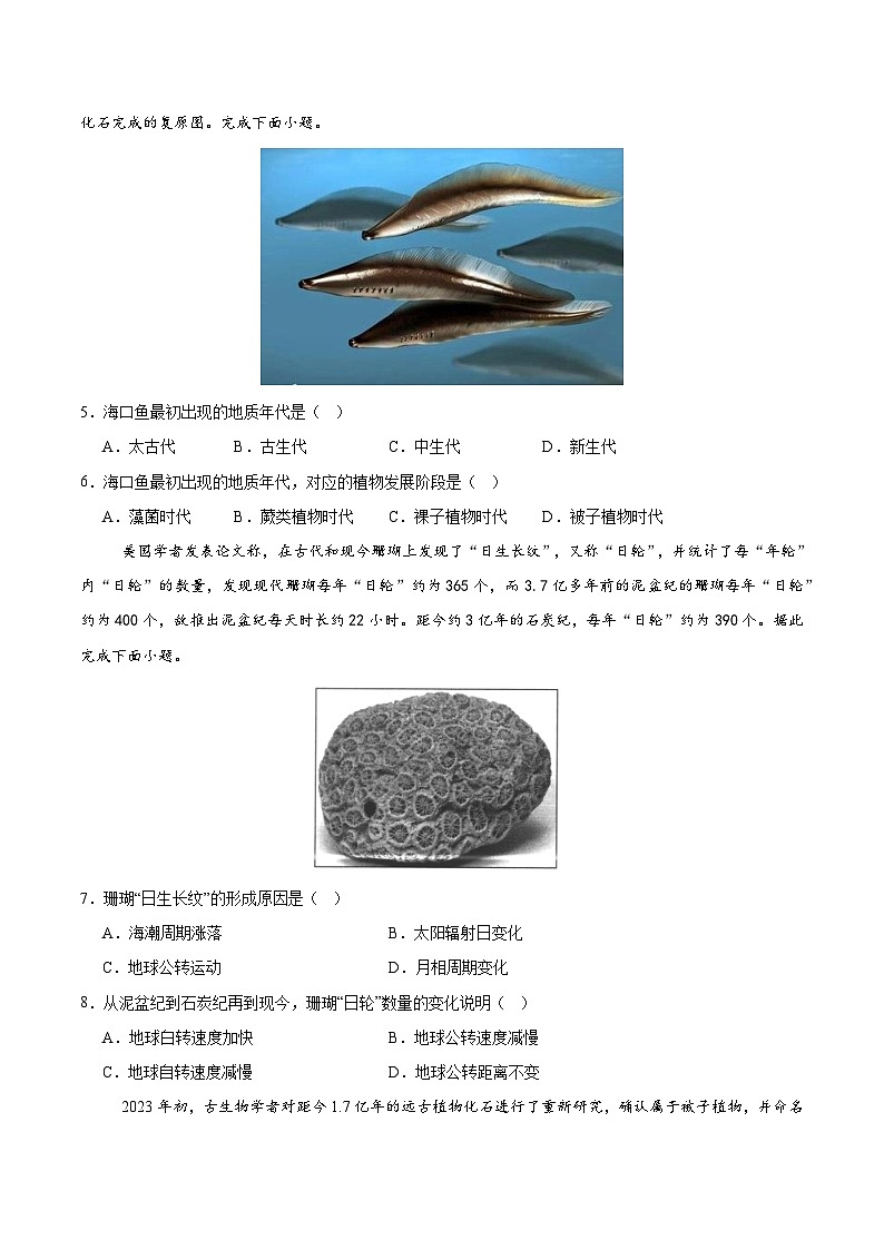 1.3 地球的历史（分层练习）-人教版2019必修一高中地理高一上册第2页