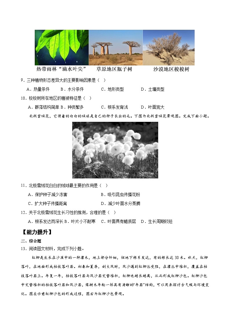 5.1+植被（分层练习）-人教版2019必修一高中地理高一上册第3页