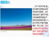人教版 2019 高中地理必修一5.1 植被課件 PPT