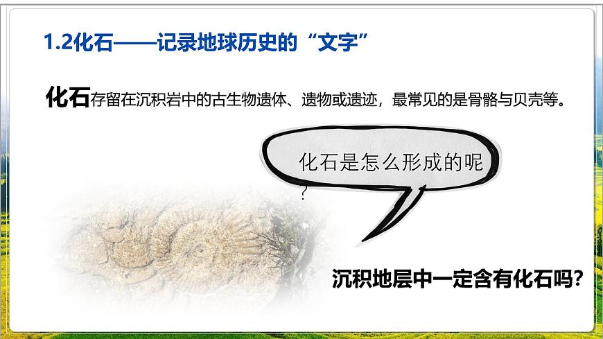 湘教版（2019）高中地理必修第一册1.4地球的演化 课件第6页