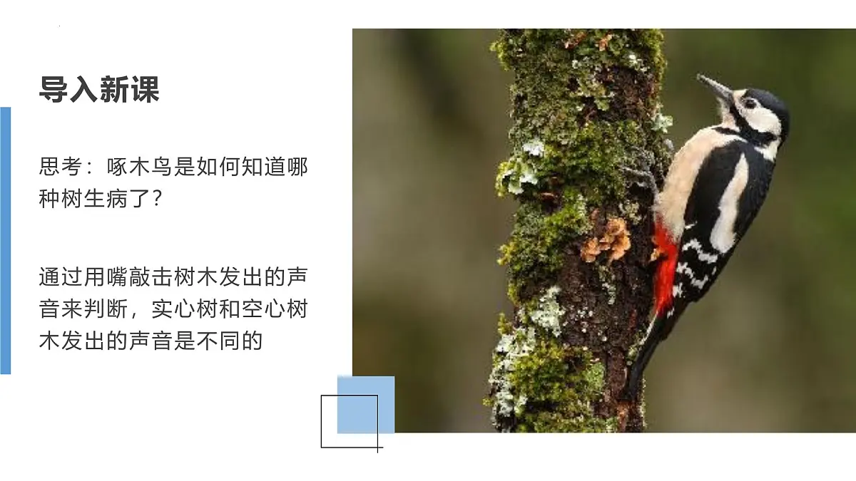 1.2 地球的圈层结构（教学课件）-2025-2026学年高中地理必修第一册（中图版2019）第6页
