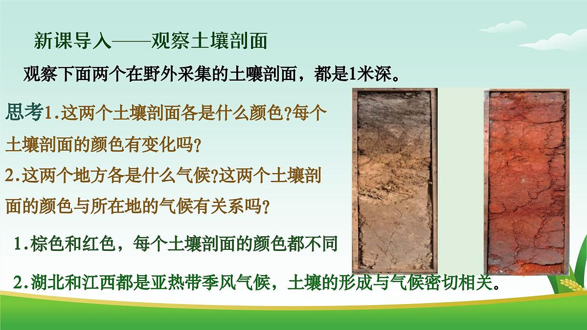 2.6 土壤的主要形成因素（教学课件）——高中地理中图版（2019）必修一第2页