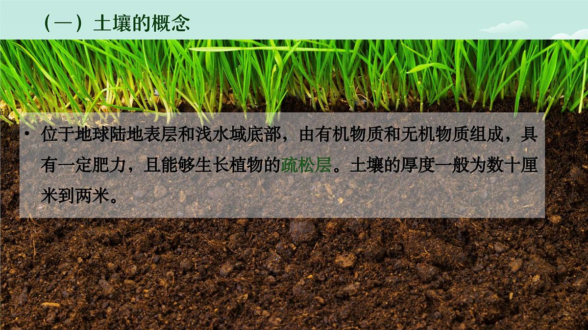 2.6 土壤的主要形成因素（教学课件）——高中地理中图版（2019）必修一第7页