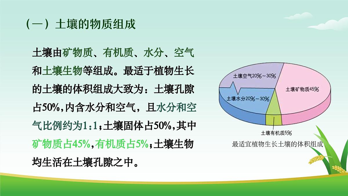 2.6 土壤的主要形成因素（教学课件）——高中地理中图版（2019）必修一第8页